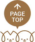 PAGE TOP