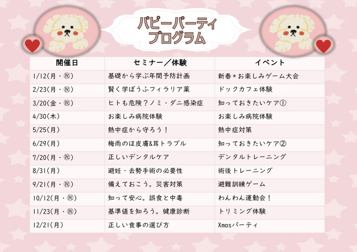 パピーパーティプログラム