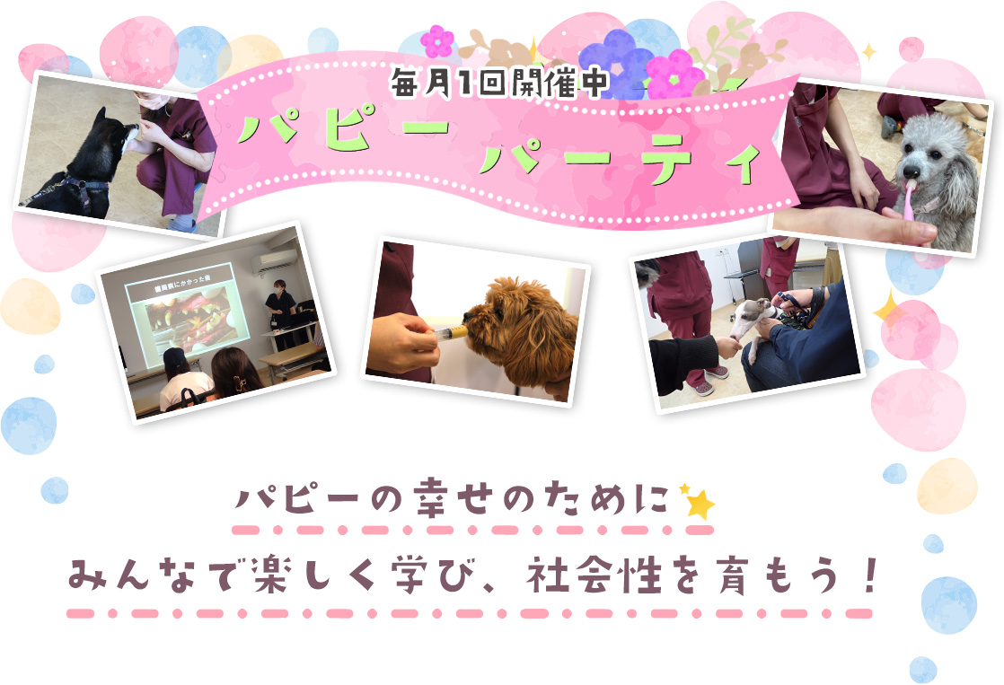 毎月1回開催中 パピーパーティ