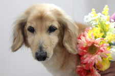 クウくん