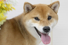 ナギくん