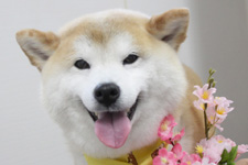 レンくん