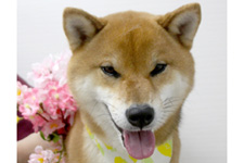 ナギくん