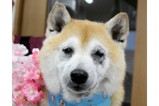 フウタくん