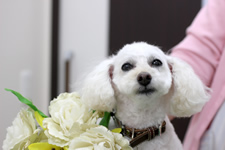 ソラちゃん