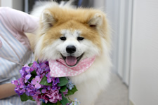 ユズちゃん