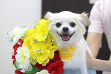 マロくん
