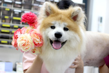 ユズちゃん