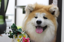 ユズちゃん