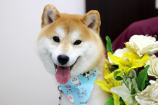 レンくん