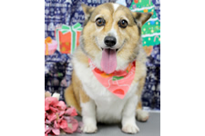 サランちゃん