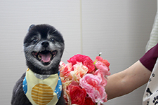 ココちゃん