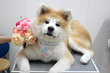 ユズちゃん