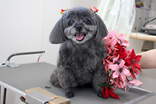 マオちゃん