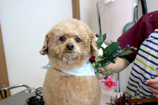 ザックくん