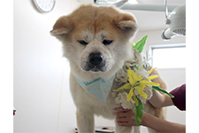 ケンくん