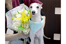 ミントくん