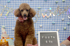 フウタくん