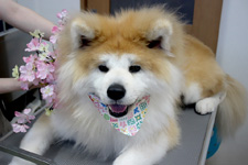 ユズちゃん