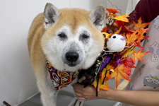 フウタくん
